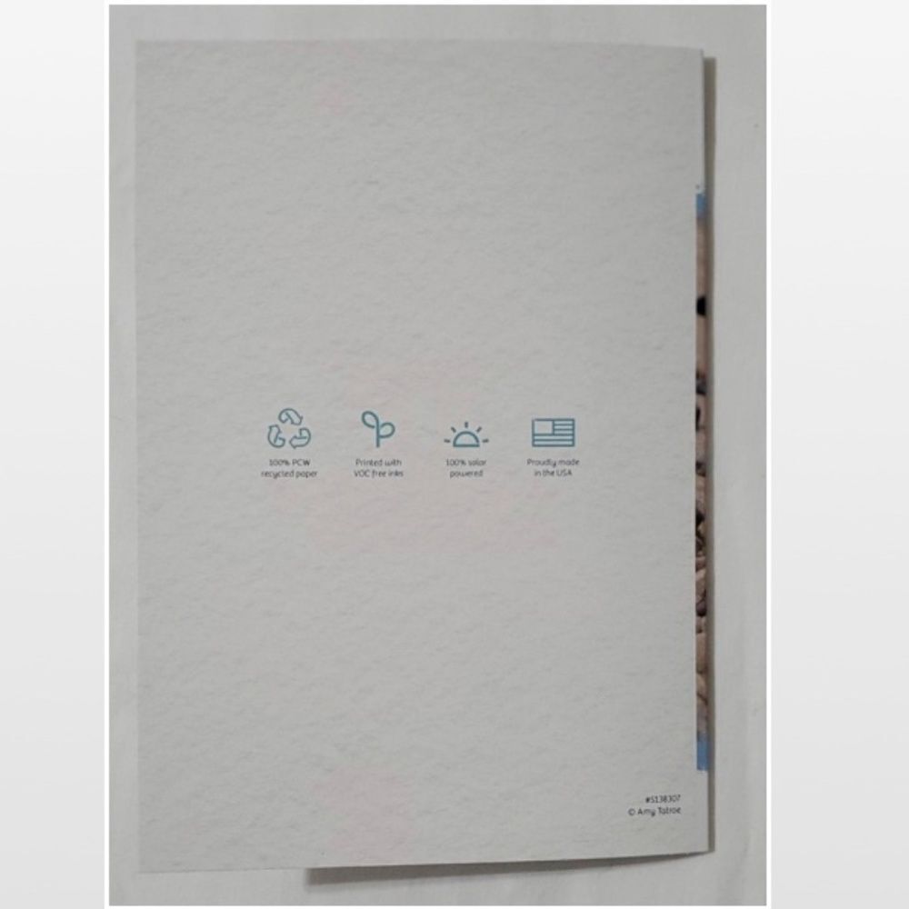 New 8 Matching Notecards & Envelopes - Picture 13 of 16
